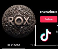 TikTok
                                Link